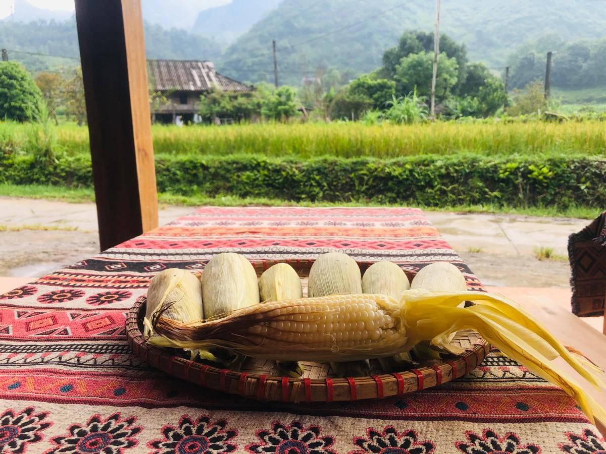 Wild Orchid- Lan Làng Cac