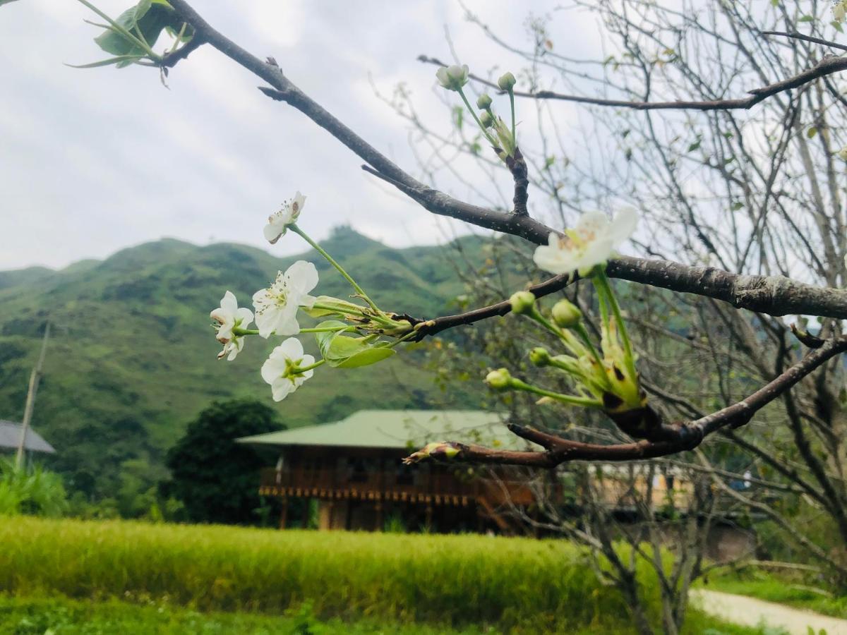 Wild Orchid- Lan Privatunterkunft Làng Cac