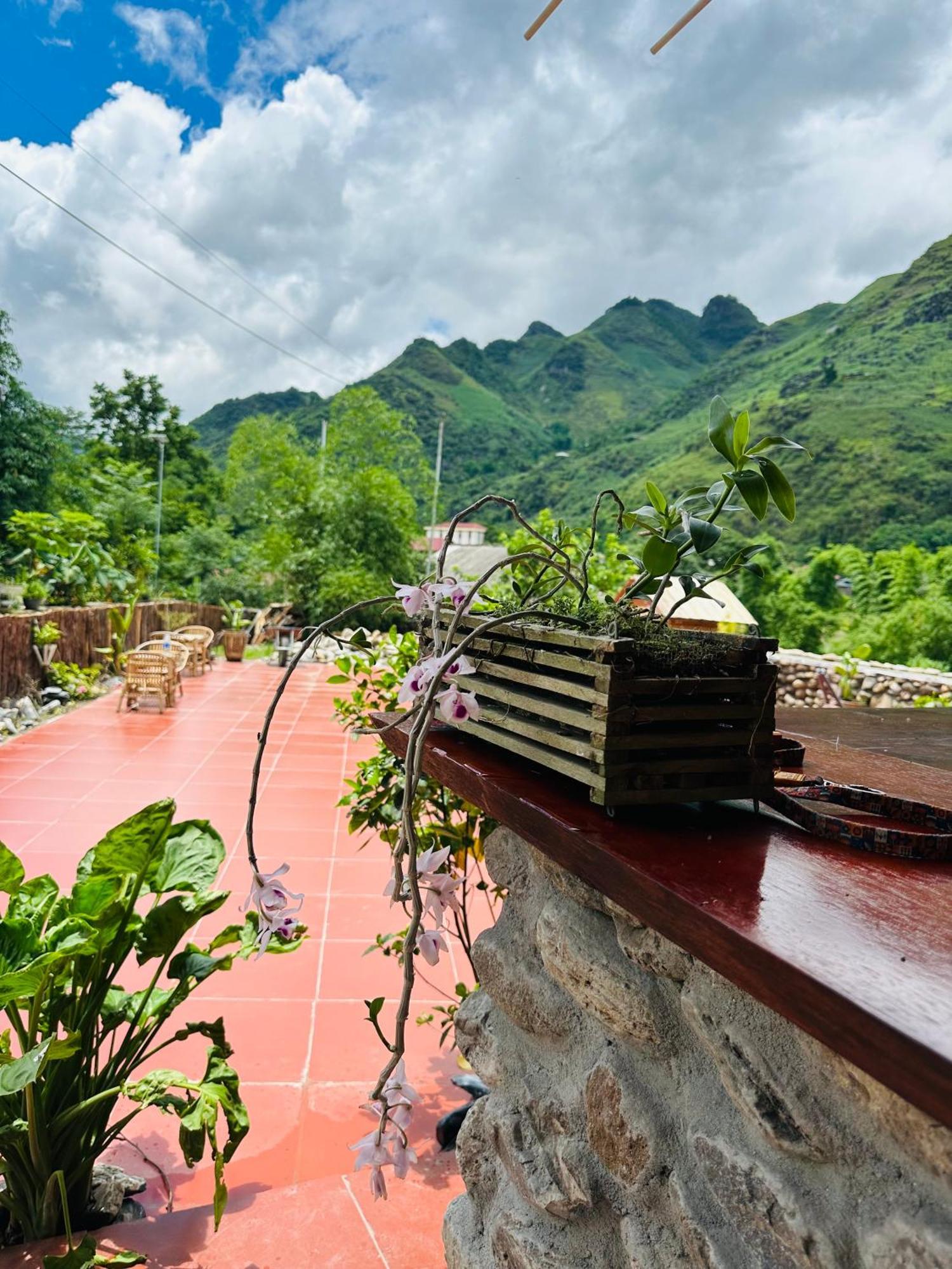 Privatunterkunft Wild Orchid- Lan