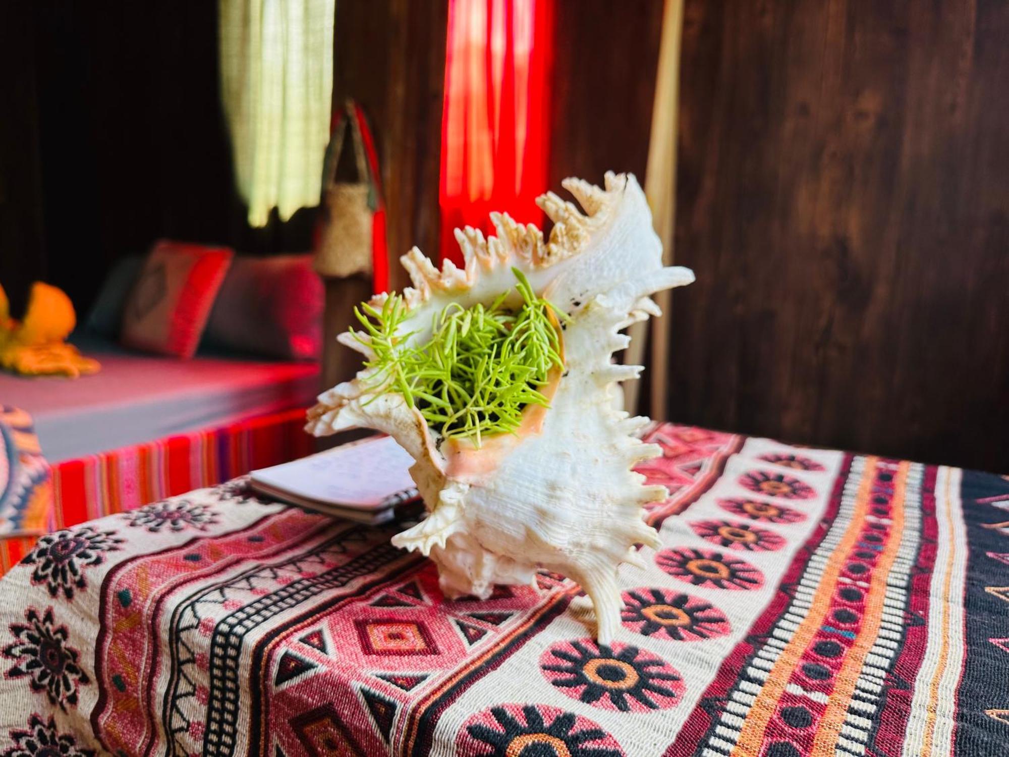 Wild Orchid- Lan *